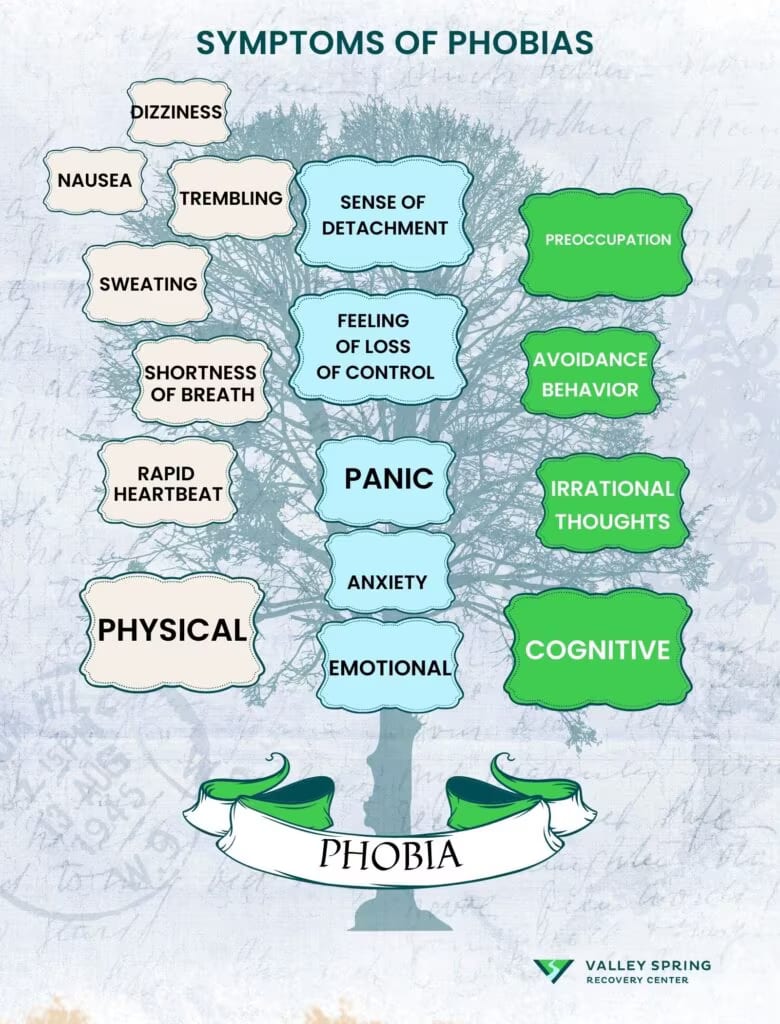 Symptoms of a phobia spanning physical sympathetic arousal, anticipatory dread, and avoidance
