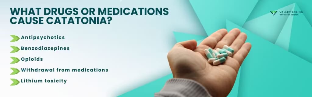 Substances and medication states linked to catatonia including alcohol and benzodiazepine withdrawal
