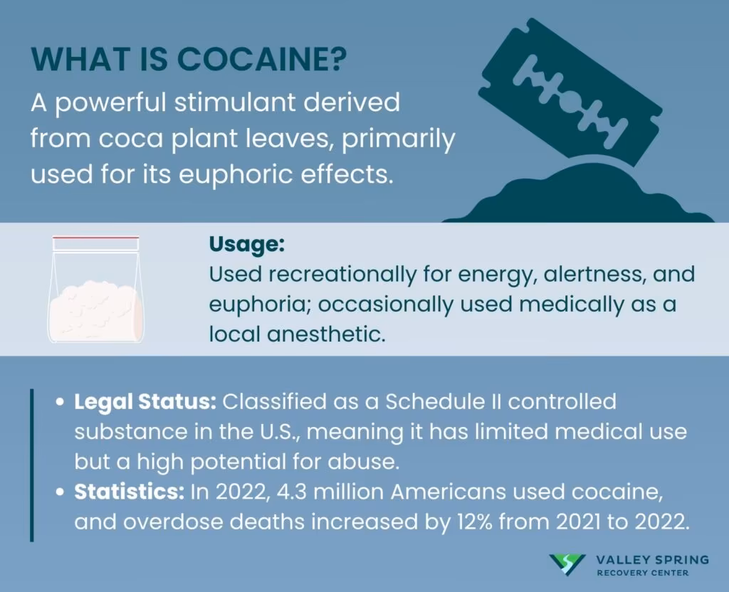 What is Cocaine? Definition, Usage, Effects, Abuse What is Cocaine? Definition, Usage, Effects, Abuse