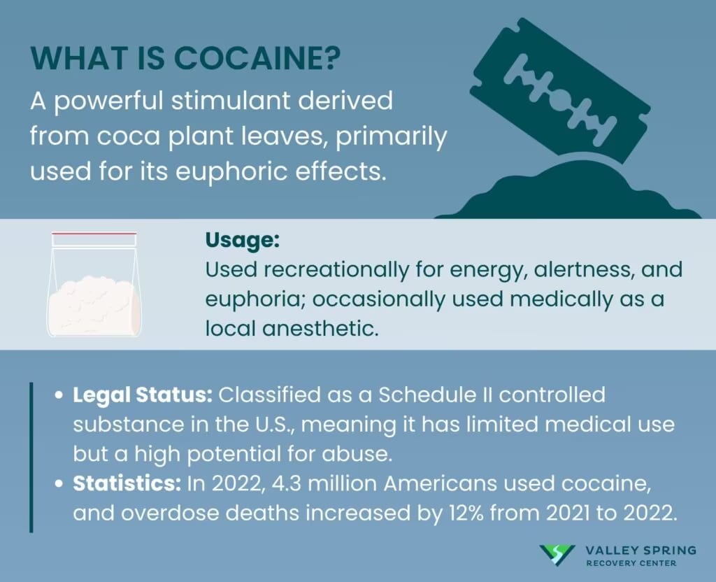 What Is Cocaine? A stimulant drug made from the coca plant What is cocaine: definition, coca plant origin, and stimulant effects