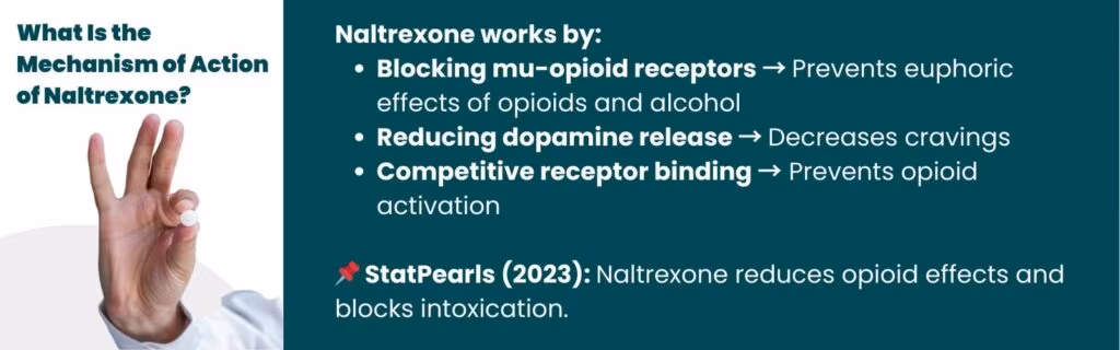 What Is the Mechanism of Action of Naltrexone