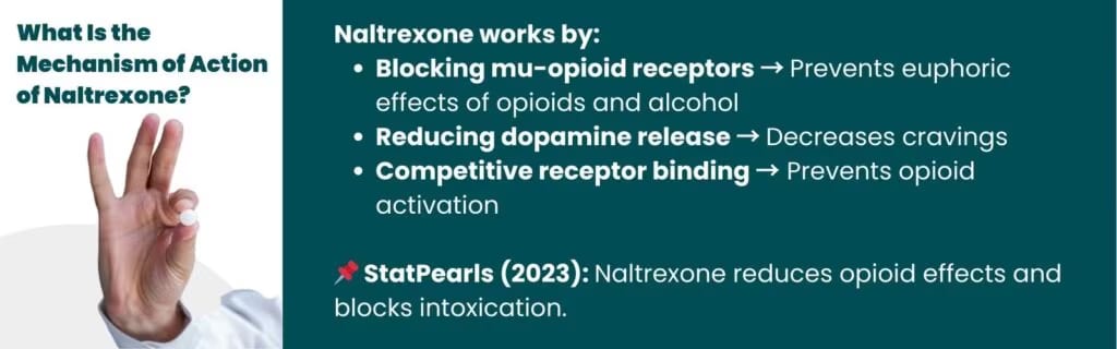 What Is the Mechanism of Action of Naltrexone