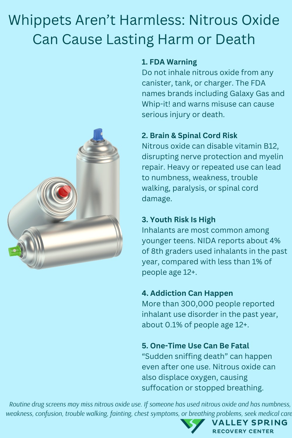 Whippets and nitrous oxide infographic showing FDA warnings, vitamin B12 nerve damage, youth inhalant statistics, dependence prevalence, and fatal oxygen displacement