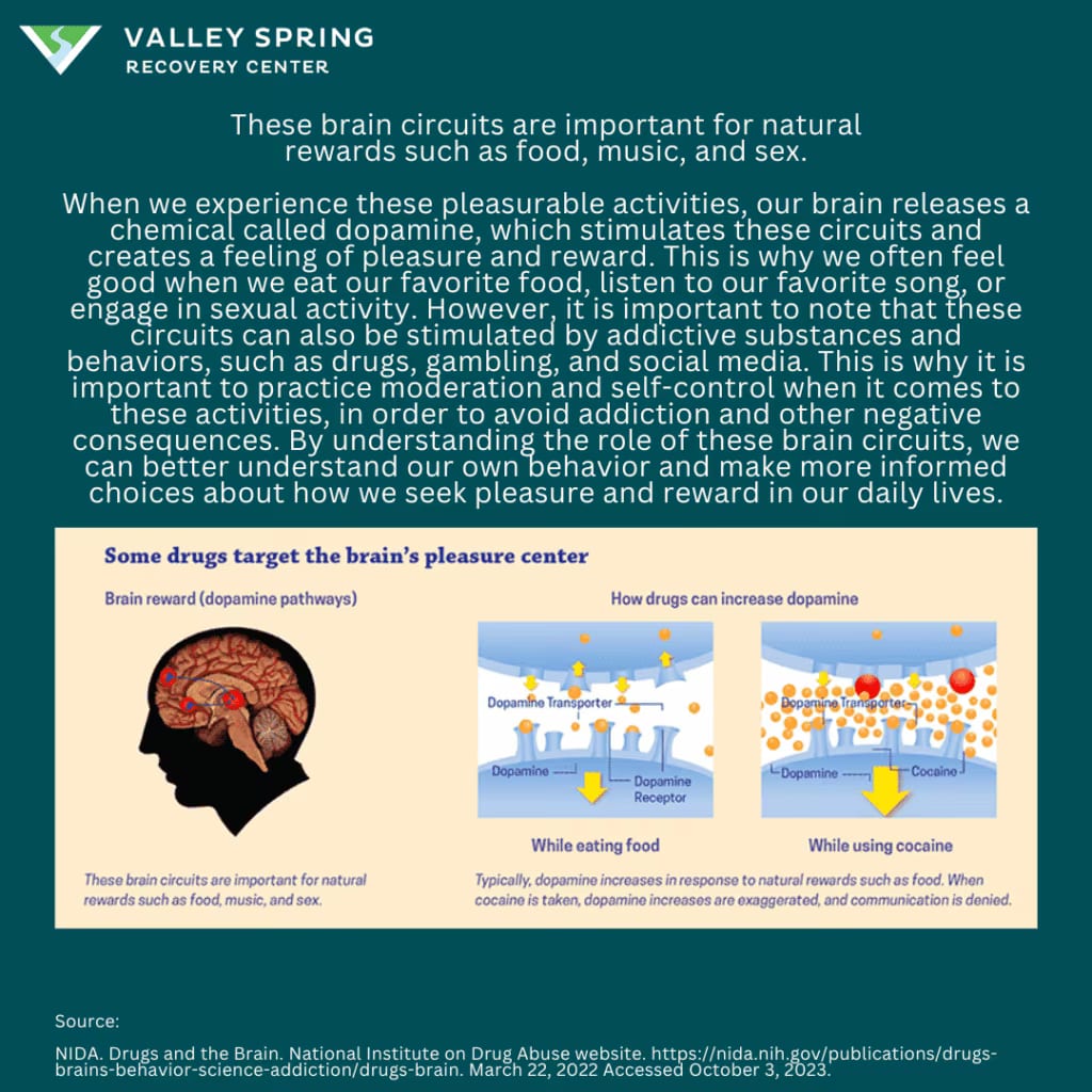 Your Brain On Drugs Reward Center