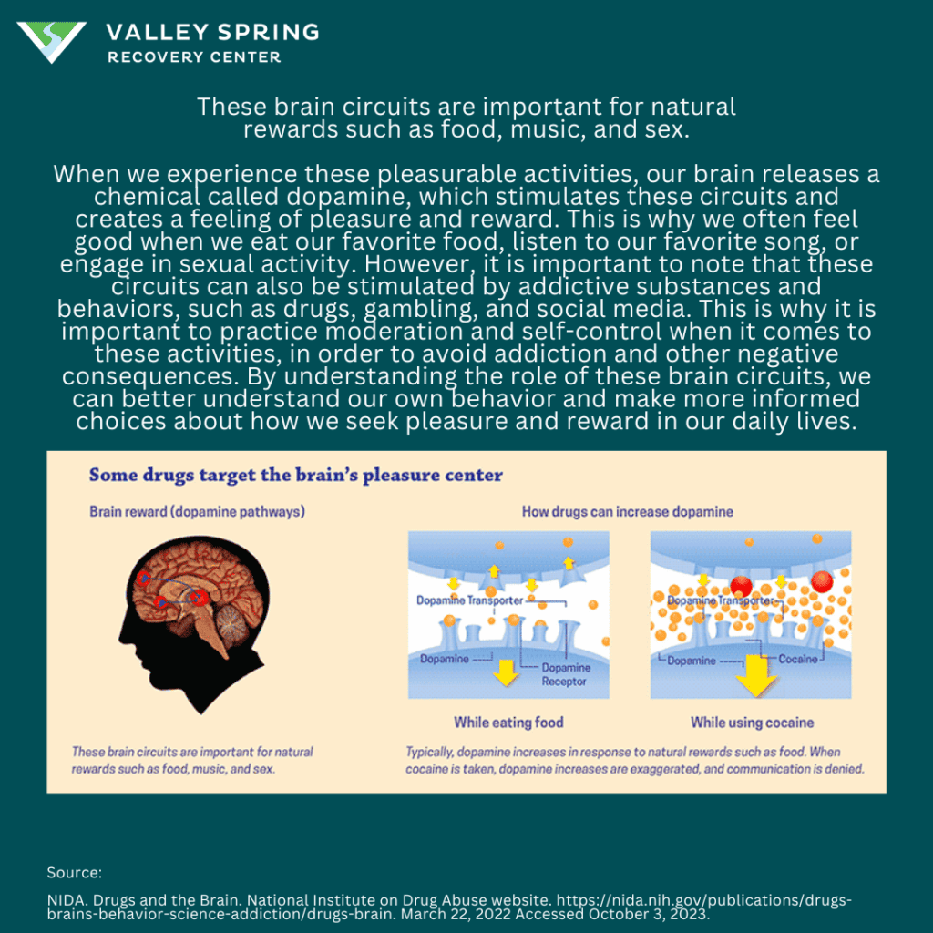 Your Brain On Drugs Reward Center