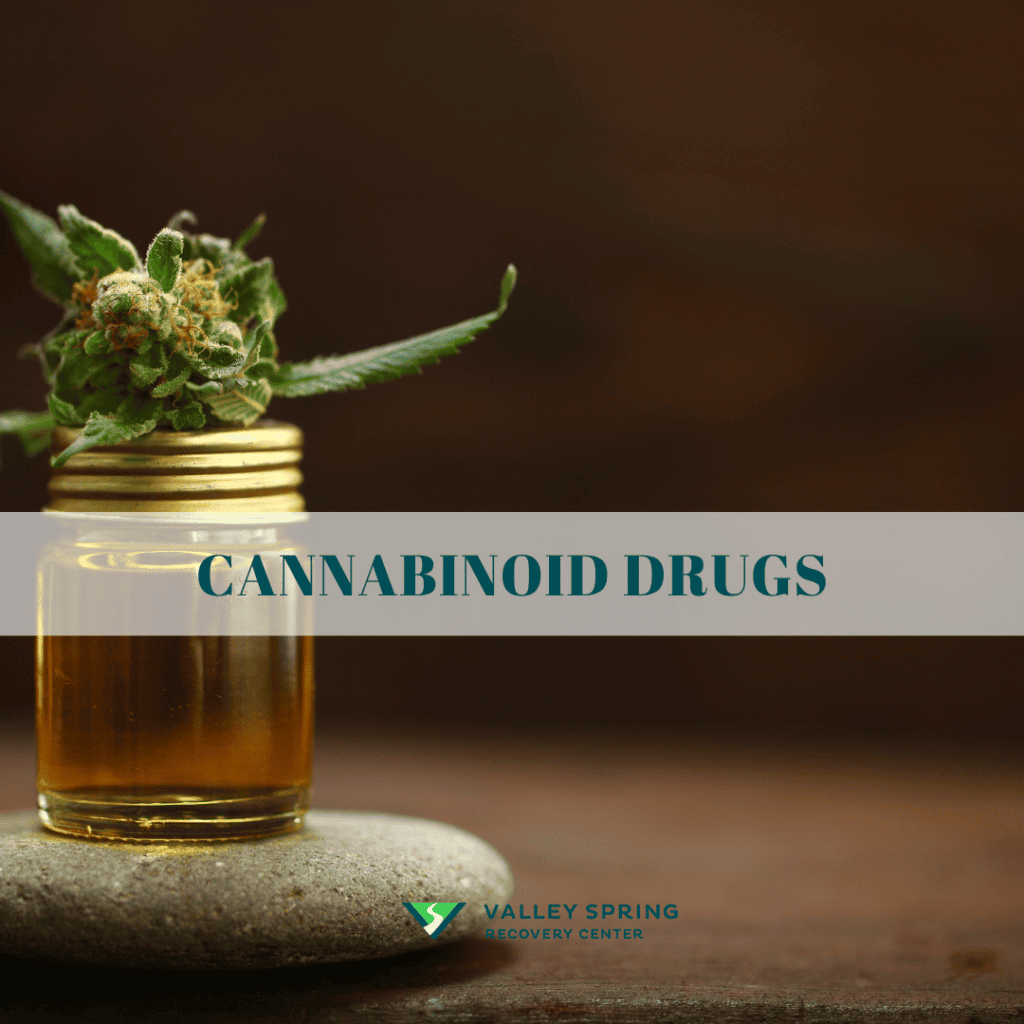 Cannabinoid Drug Types + Addiction