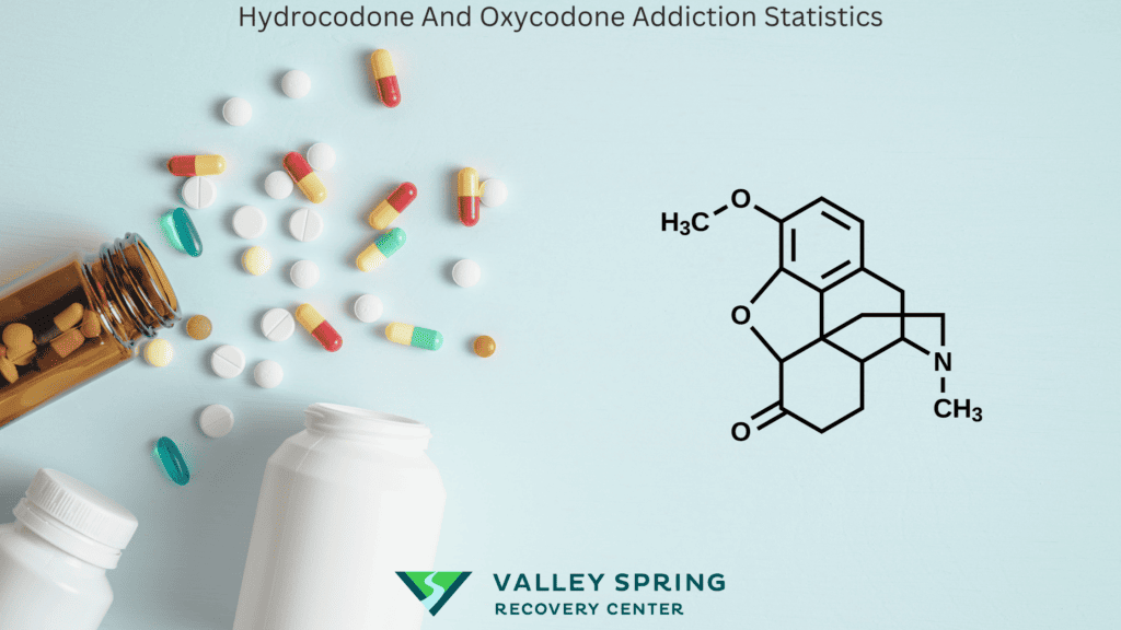 Hydrocodone Addiction Statistics - Opiate Epidemic