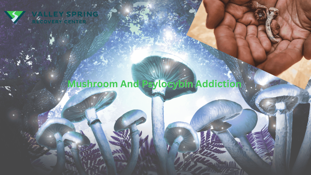 Mushroom And Psylocybin Addiction