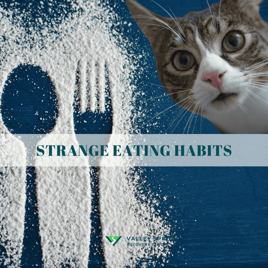 Strange Eating Habits And Addiction