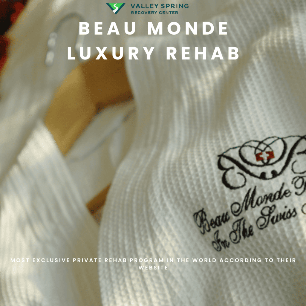 Beau Monde Luxury Rehab