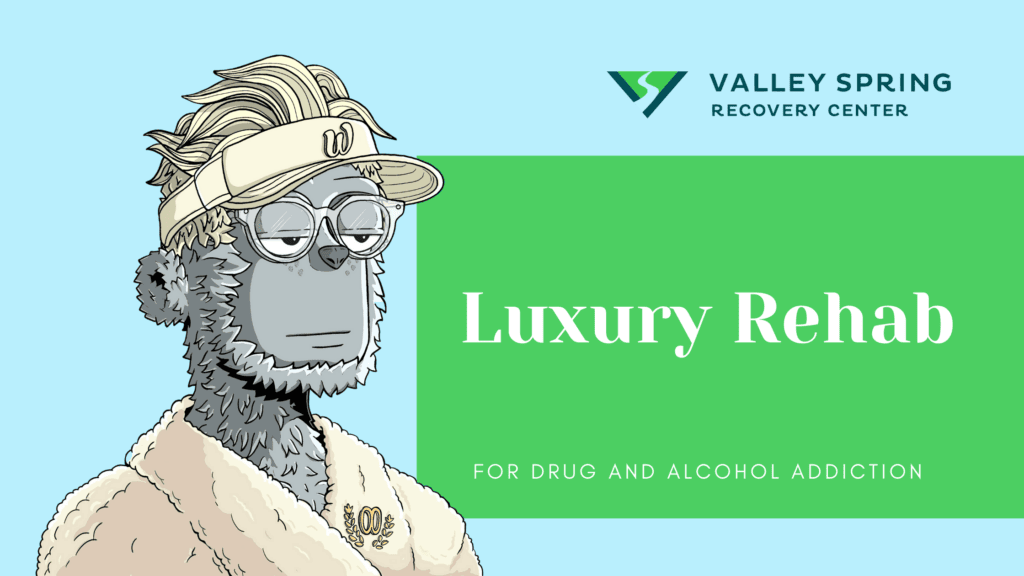 Luxury Rehab; Expensive Addiction Treatment