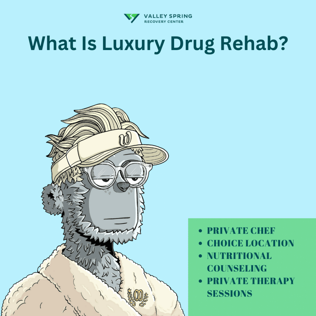 What Is Luxury Drug Rehab? Amenities And Private Counseling