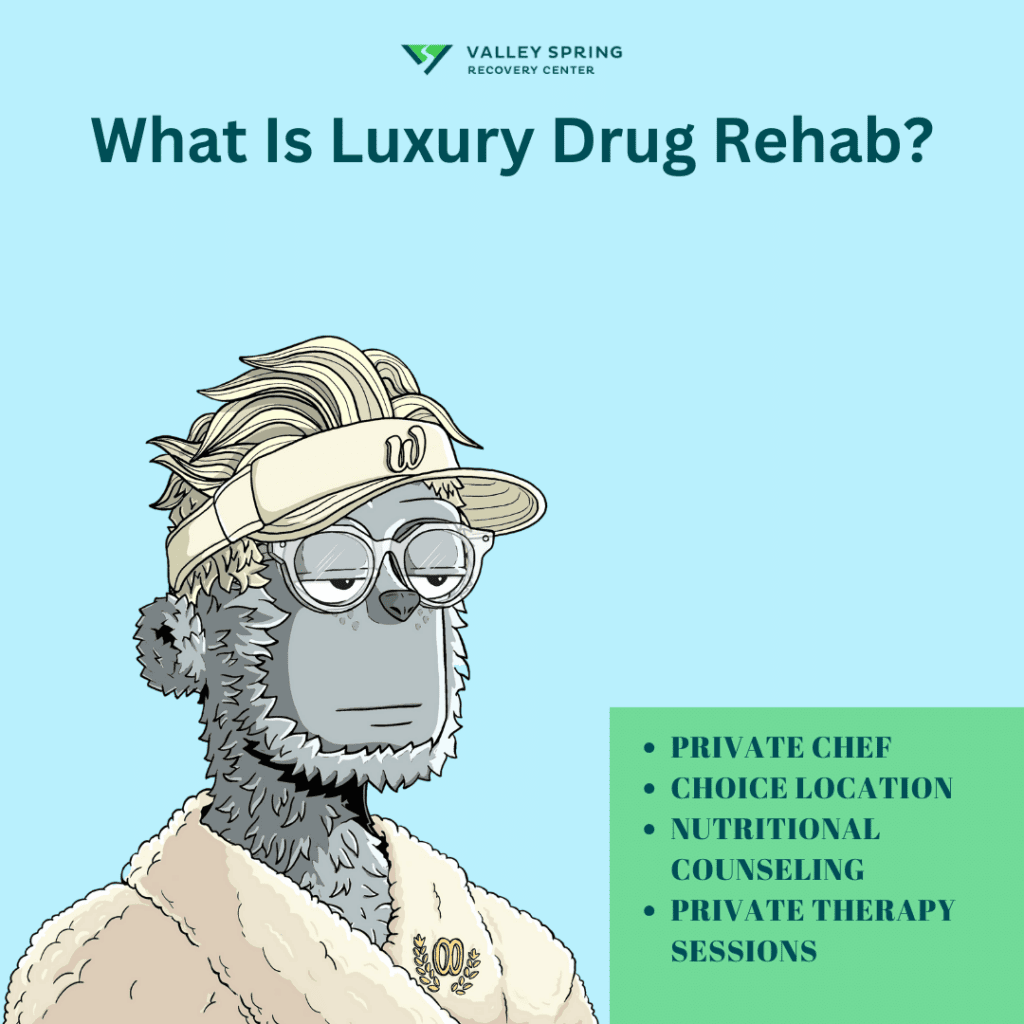 20 Most Expensive Luxury Drug And Alcohol Rehabs