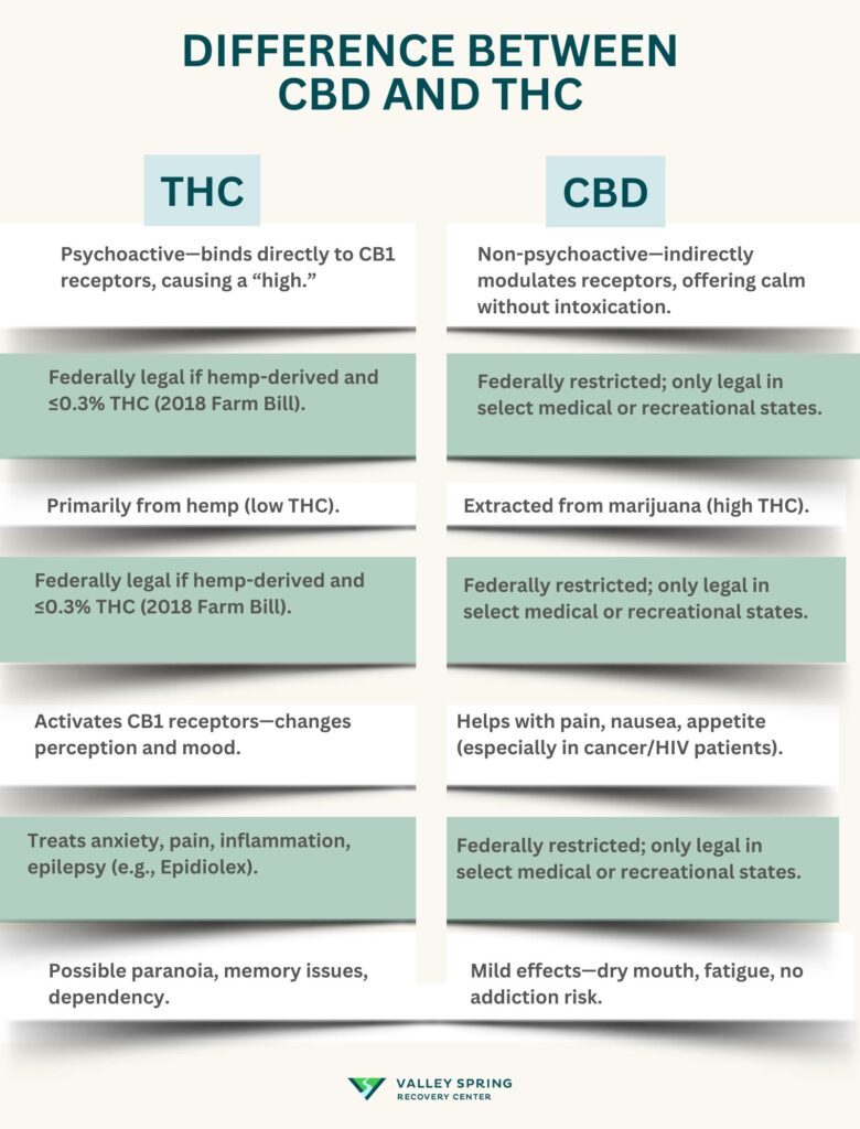 Cbd Vs. Thc What Is The Difference