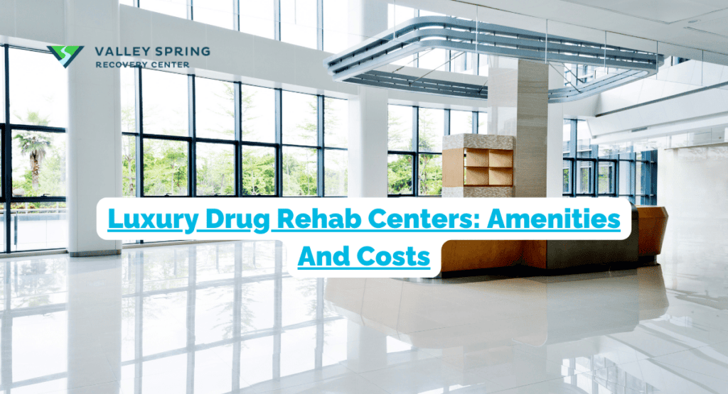 Luxury Drug Rehab Centers Amenities And Costs