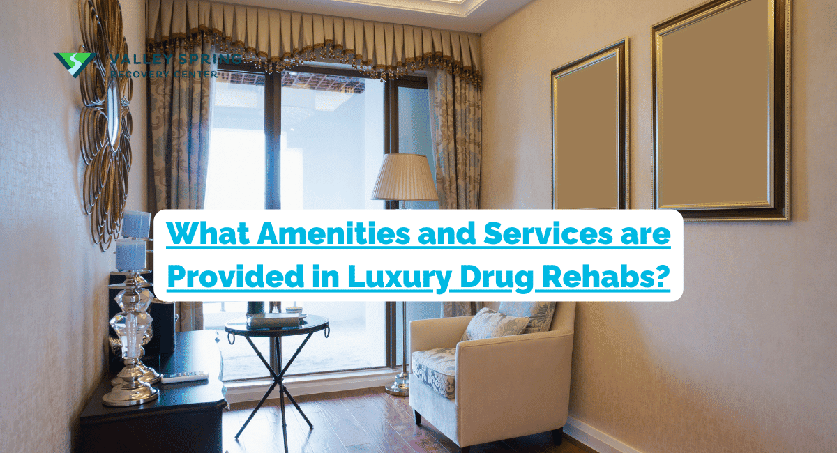 What Amenities And Services Are Provided In Luxury Drug Rehabs?