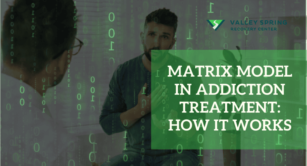Matrix Model in Addiction Treatment (1)