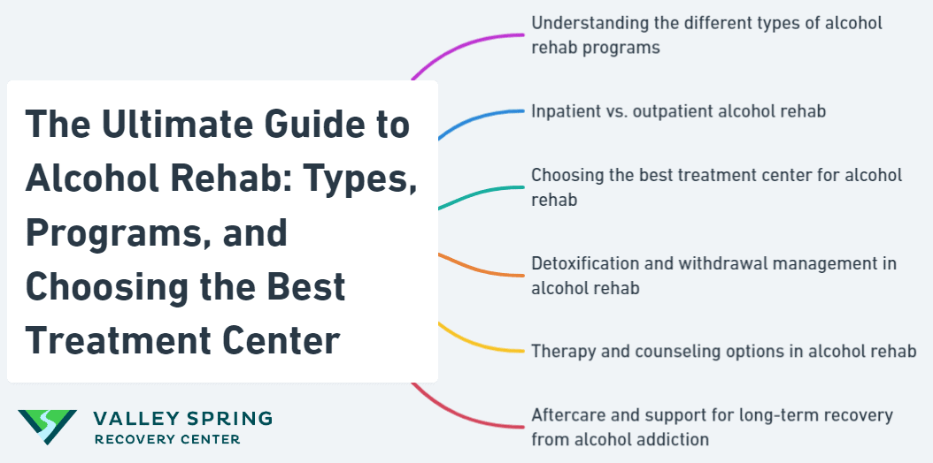 The Ultimate Guide To Alcohol Rehab: Types, Programs, And Choosing The Best Treatment Center
