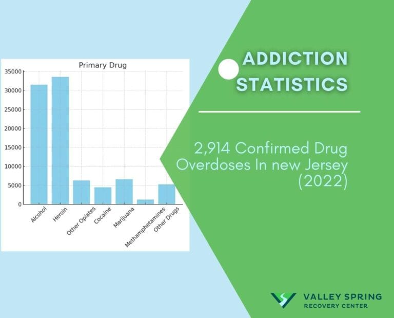 Bergen County New Jersey Addiction Statistics