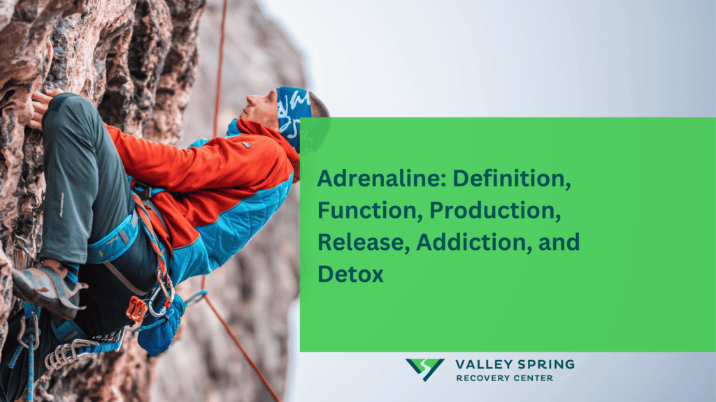 Adrenaline Definition, Function, Production, Release, Addiction, and Detox
