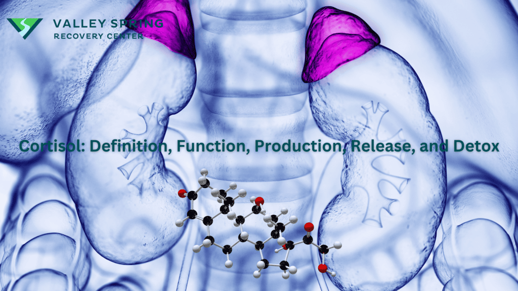 Cortisol Definition, Function, Production, Release, and Detox