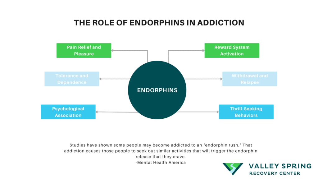 The Role Of Endorphines In Addiction