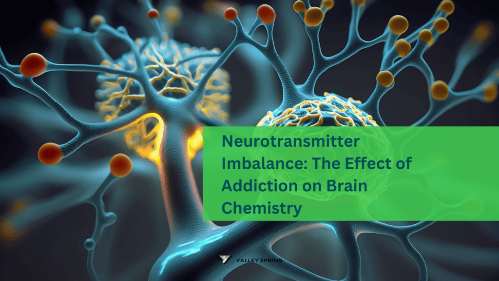 Neurotransmitter Imbalance The Effect of Addiction on Brain Chemistry