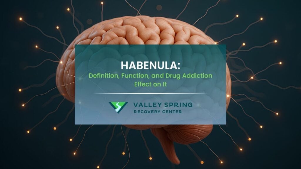 habenula definition function and drug addiction effect on it