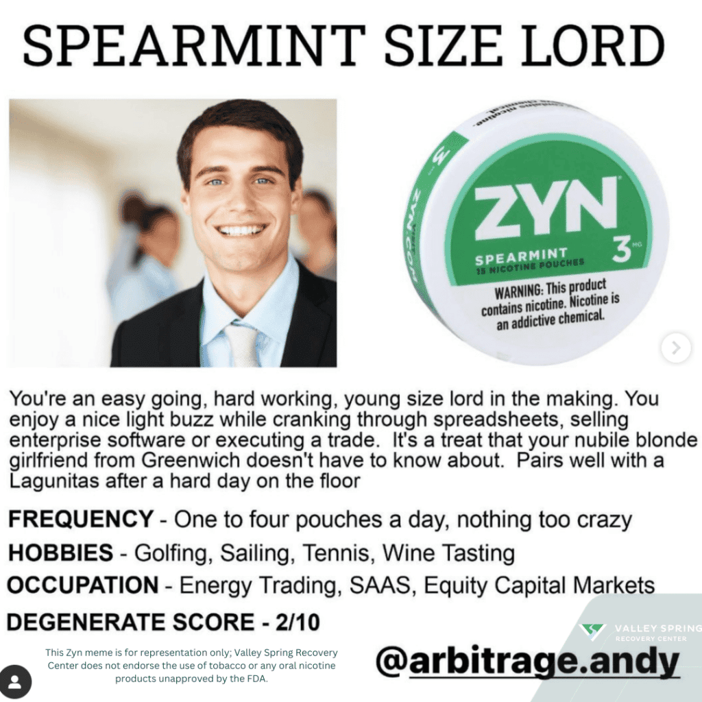 Zyn Spearmint Meme Abritrage Andy