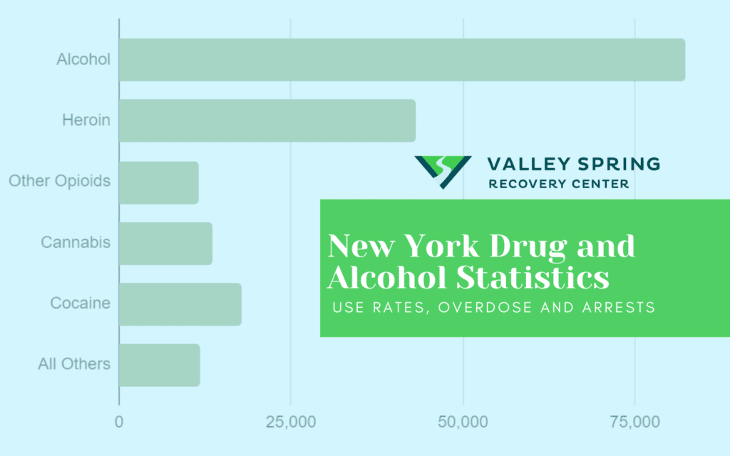 New York State Drug and Alcohol Addiction Statistics