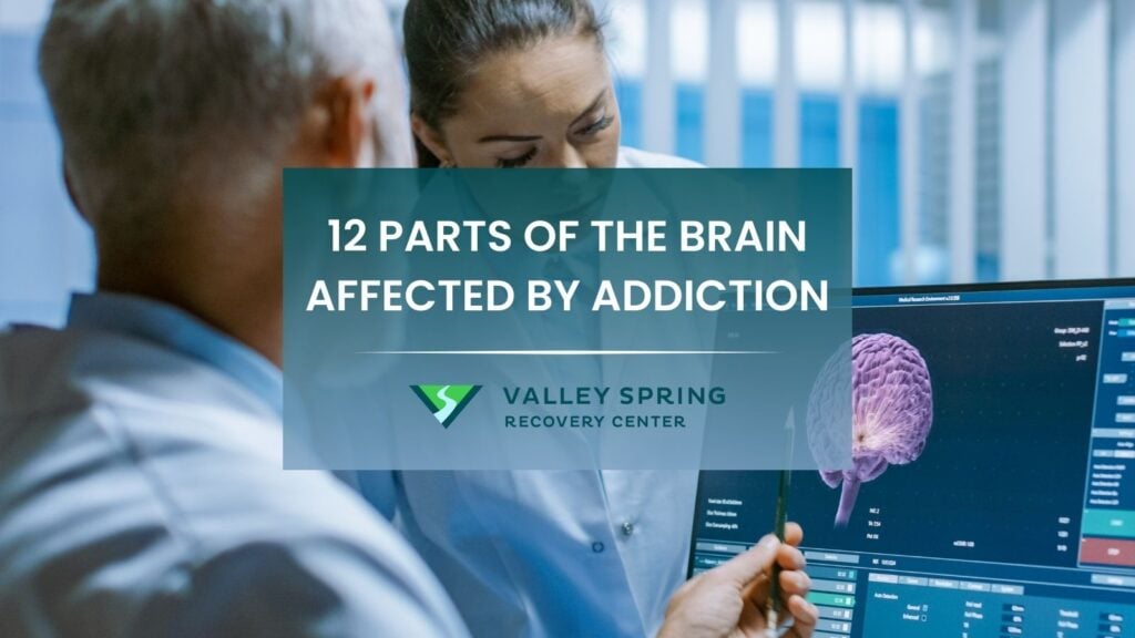 parts of the brain affected by addiction