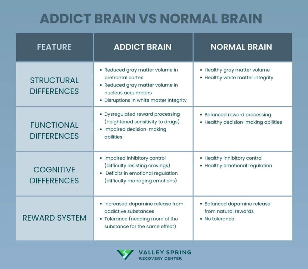 Addict Brain Vs Normal Brain