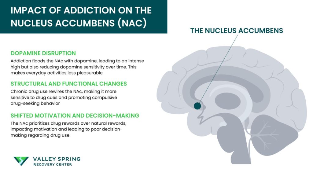 Impact Of Addiction On The Nucleus Acumbens