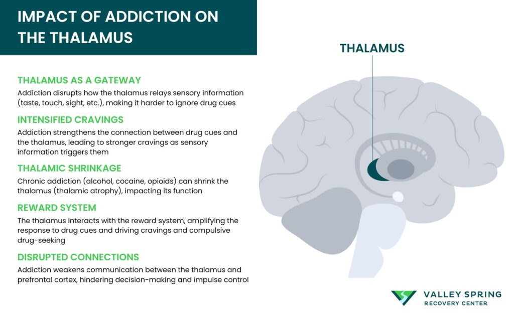 Impact Of Addiction On The Thalamus