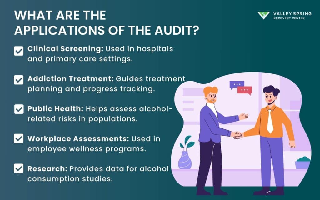 What Are The Applications Of The Audit 