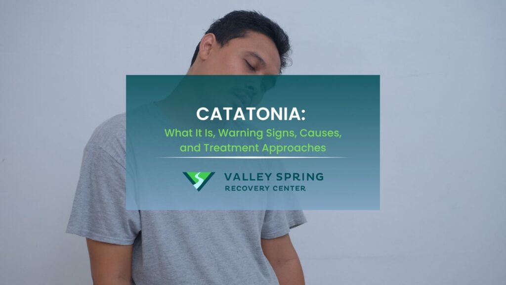 Catatonia What It Is, Warning Signs, Causes, and Treatment Approaches