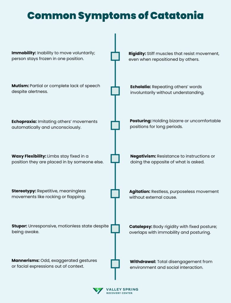 Catatonia: What It Is, Warning Signs, Causes, And Treatment Approaches 1 Common Symptoms Of Catatonia