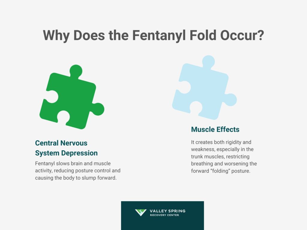 What Is The Fentanyl Fold? 1 Why Does The Fentanyl Fold Occur