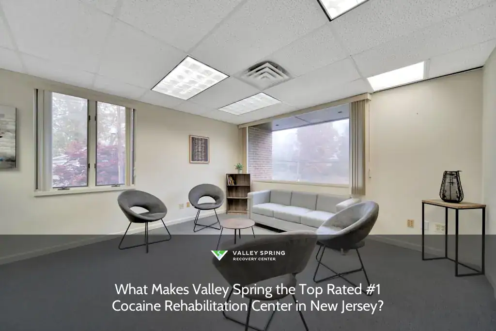 Cozy consultation room at Valley Spring, featuring gray chairs, a sofa, and a window view, supporting the recovery journey in New Jersey.