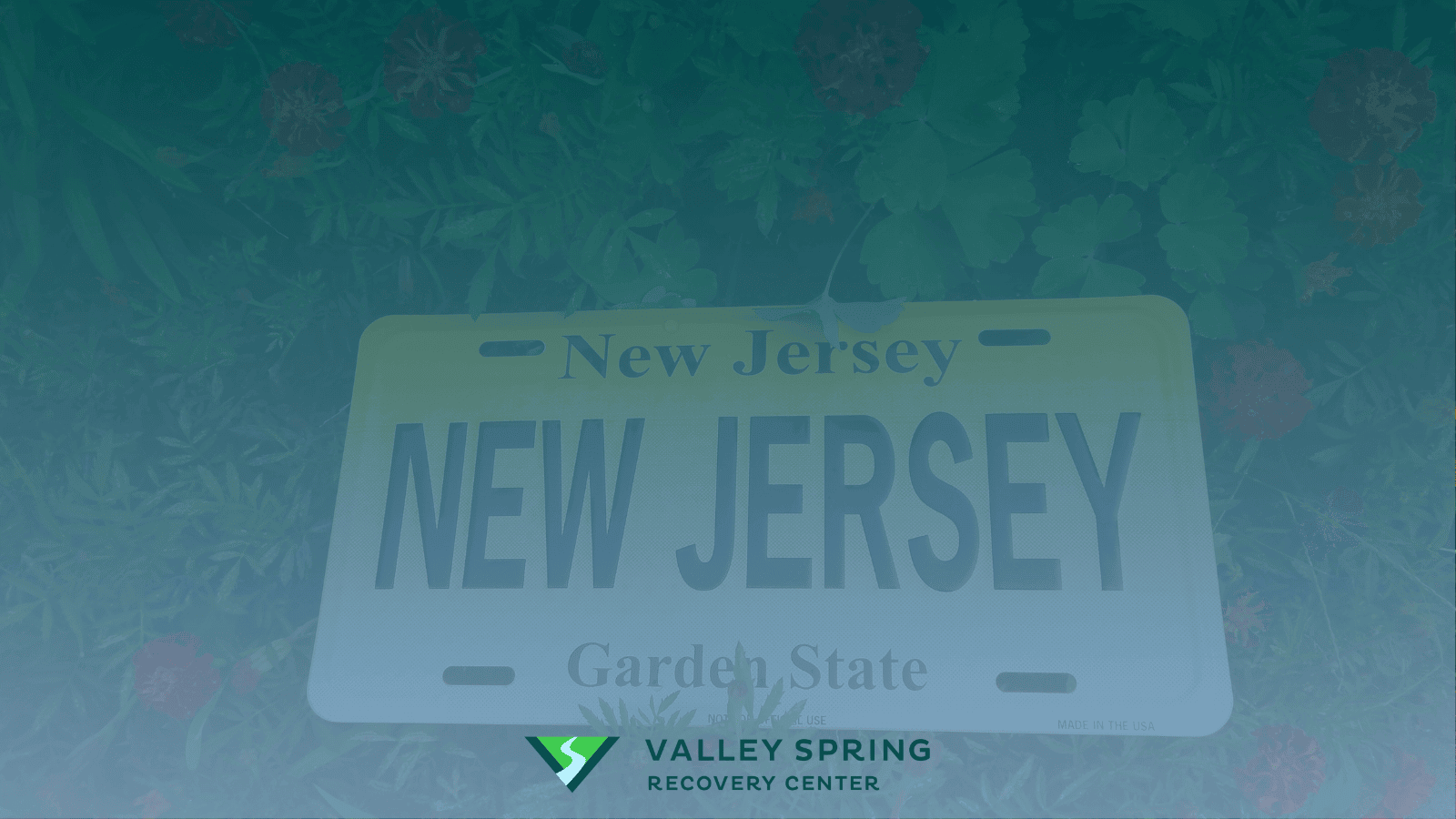 What to Know About New Jersey: Population, Culture, Laws, Politics, Business and Healthcare