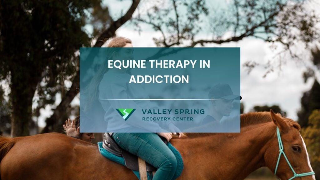 Equine Therapy in Addiction