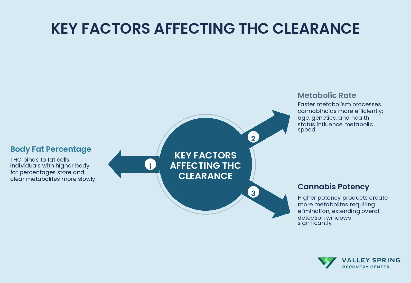 Overview Of Biological And Behavioral Factors That Determine How Quickly Thc Metabolites Are Eliminated From The Body
