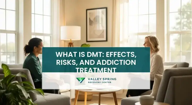 What is DMT: Effects, Risks, and Addiction Treatment